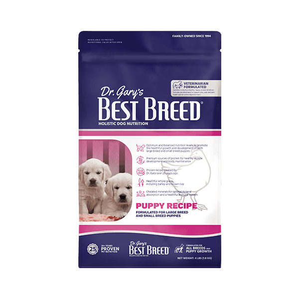 홀리스틱 퍼피 다이어트 (2024년 이후)