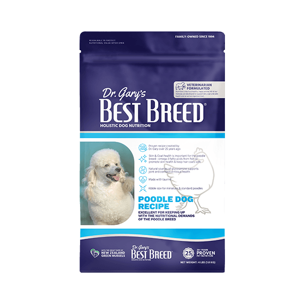 홀리스틱 푸들 독 다이어트 (2024년 이후)