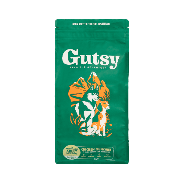 그레인프리 치킨 먼치즈 어덜트 라지바이트