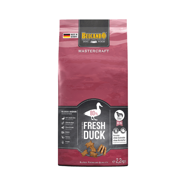 마스터크래프트 오리