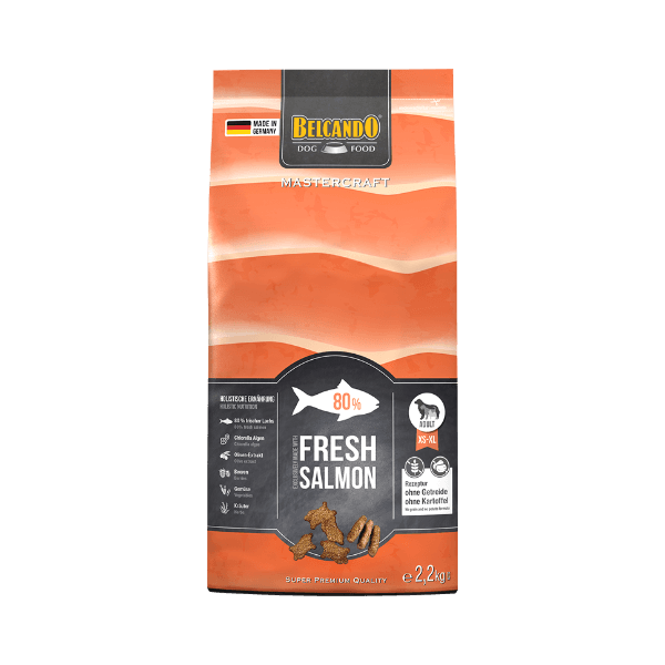 마스터크래프트 연어