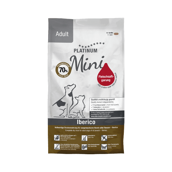 이베리코 어덜트 미니