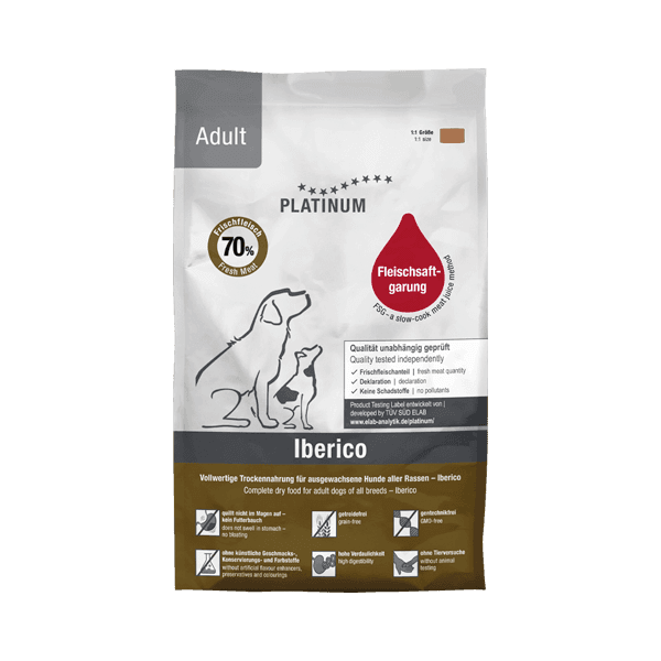 이베리코 어덜트