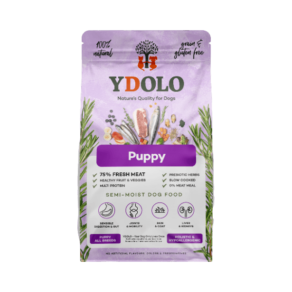 헬씨&퓨어 퍼피