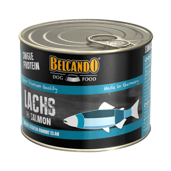 싱글프로틴 연어