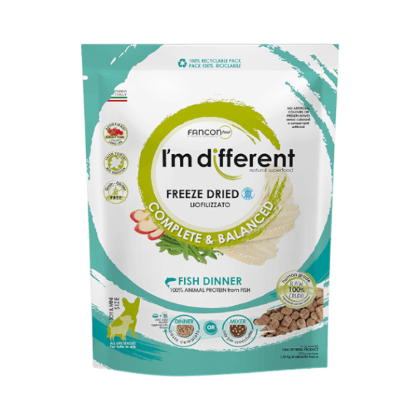 피쉬 철갑상어 디너