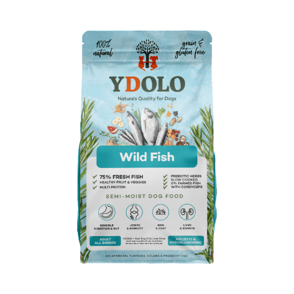 헬씨&퓨어 와일드피쉬