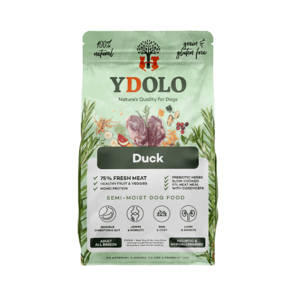 헬씨&퓨어 오리